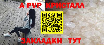сатива Гудермес