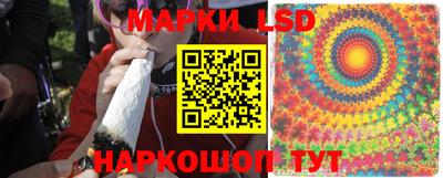 гашик Гуково