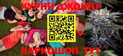 сатива Гудермес