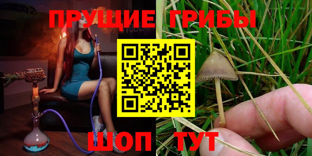 Городец  Галлюциногенные грибы Cubensis  Вход с VPN  Псилоцибиновые грибы мицелий 